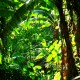 las-terrenas-republique-dominicaine-38